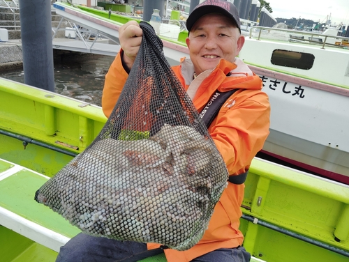 マダコの釣果