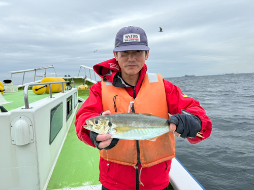 マアジの釣果