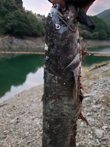 江川ダム