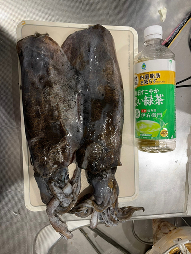 釣果