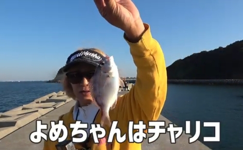 チャリコの釣果