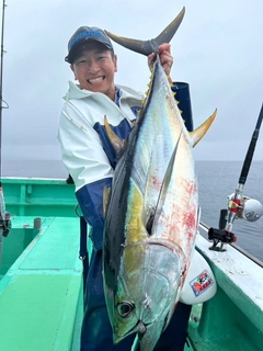 キハダマグロの釣果