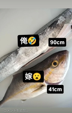 タチウオの釣果