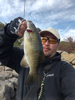 スモールマウスバスの釣果