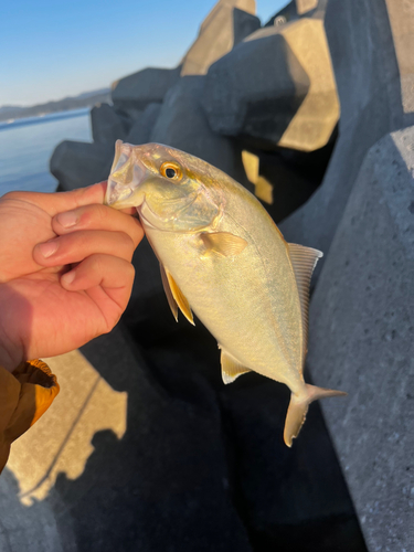 内浦湾（北海道）