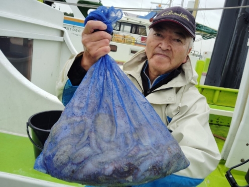 マダコの釣果