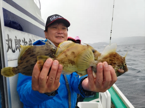 カワハギの釣果