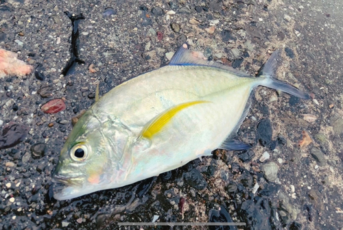 興津港海浜公園