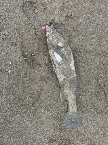 松任海浜公園