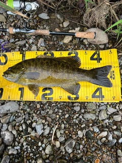 スモールマウスバスの釣果