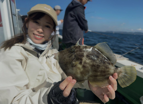 カワハギの釣果