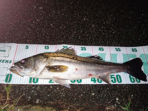 大浜釣り公園（金沢港ふれあい広場）