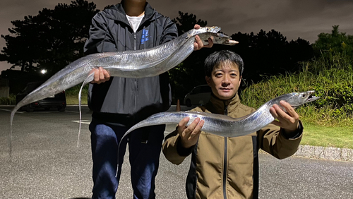 タチウオの釣果