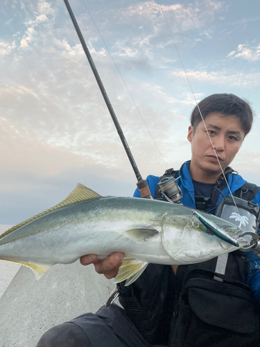 ワラサの釣果