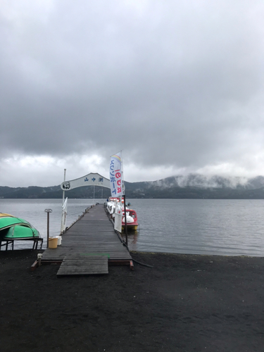 ワカサギの釣果