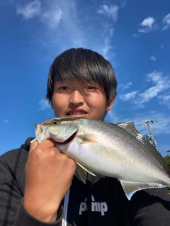 シオの釣果