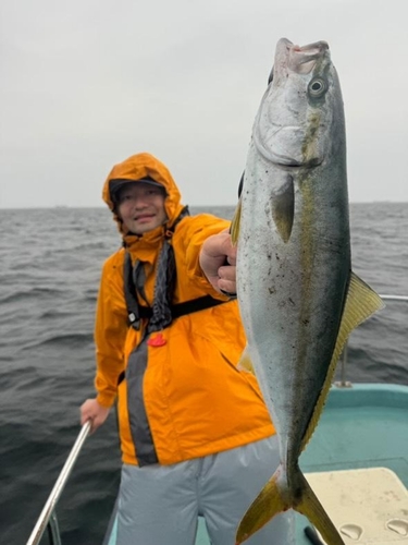 イナダの釣果