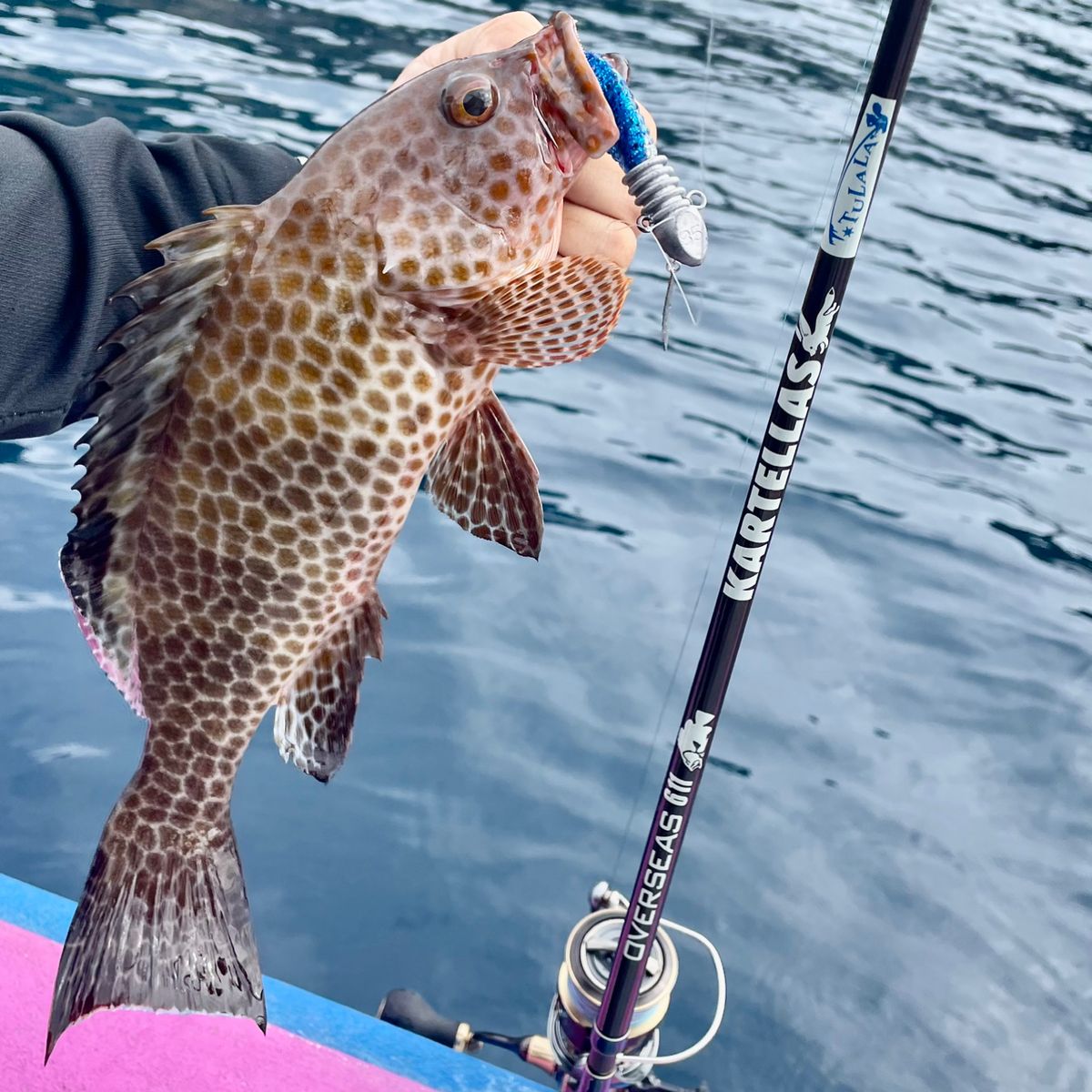 アッシー（H.ashihara）さんの釣果 2枚目の画像