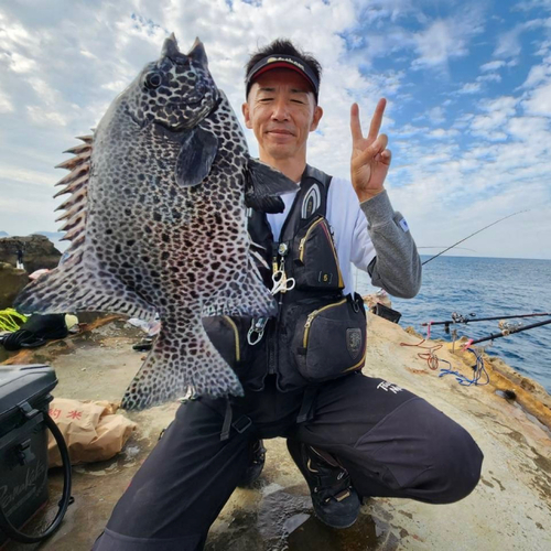 イシガキダイの釣果