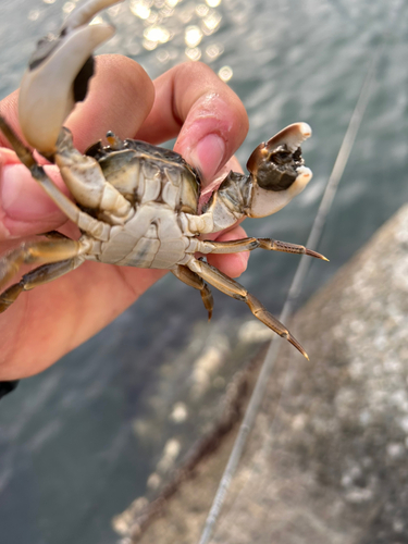 石狩湾新港