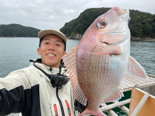 マダイの釣果