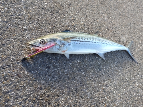 福間漁港海浜公園