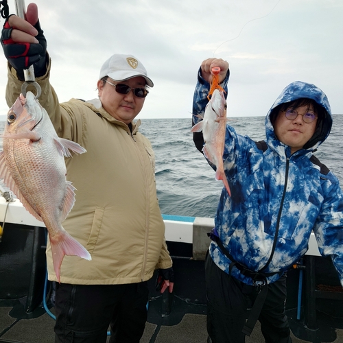 マダイの釣果