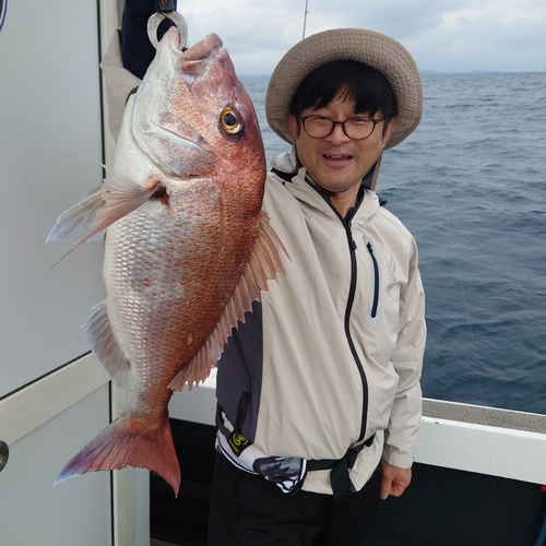 マダイの釣果