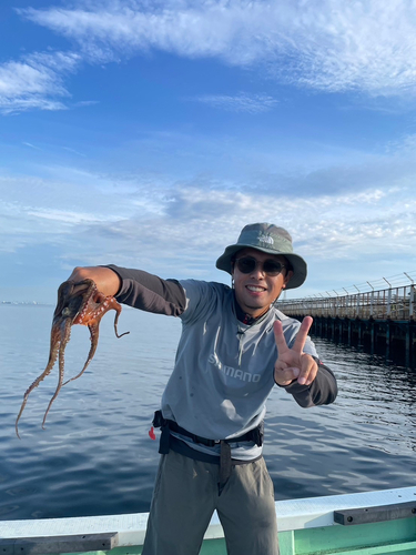 タコの釣果