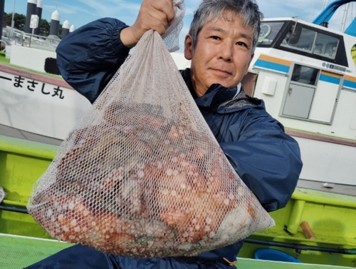 マダコの釣果