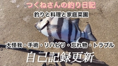 イシダイの釣果