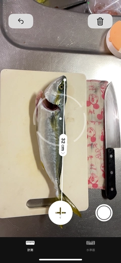 ヤズの釣果