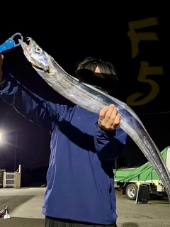 タチウオの釣果