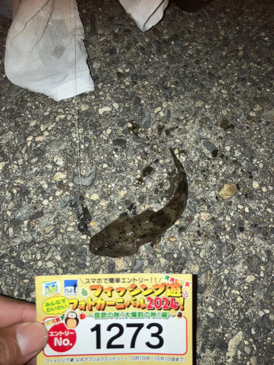 ウロハゼ