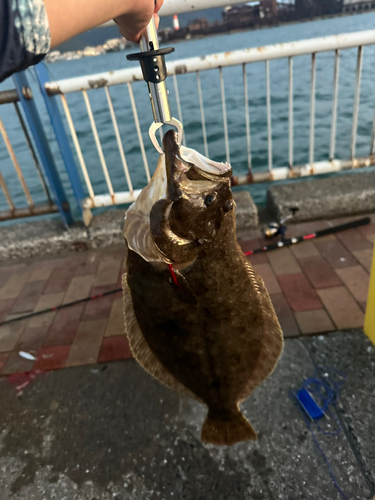 日明海峡釣り公園