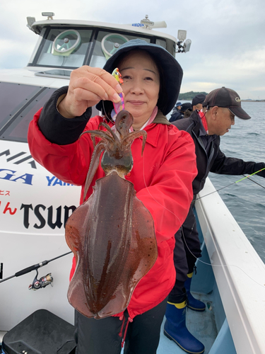 イカの釣果