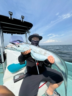 タチウオの釣果