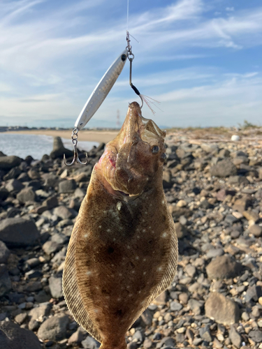 ソゲの釣果