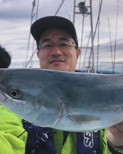 イナダの釣果