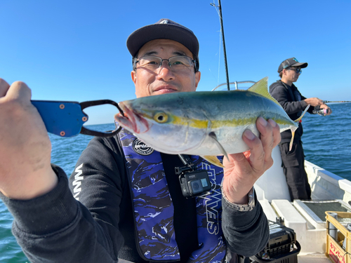 イナダの釣果