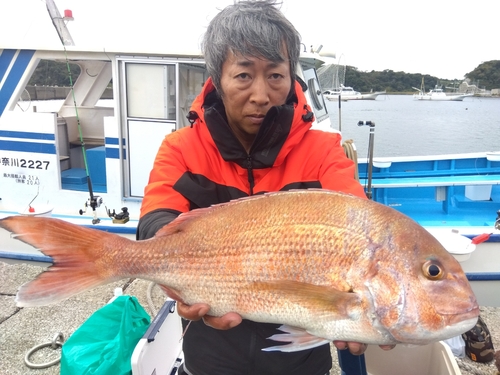 マダイの釣果