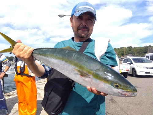 ワラサの釣果