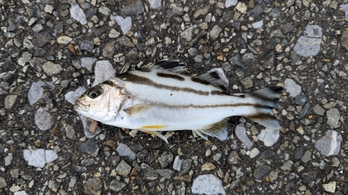 高洲海浜公園