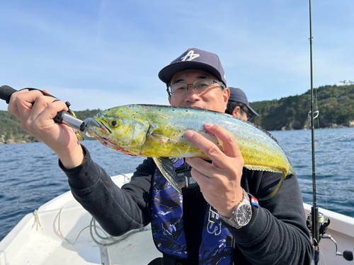 シイラの釣果