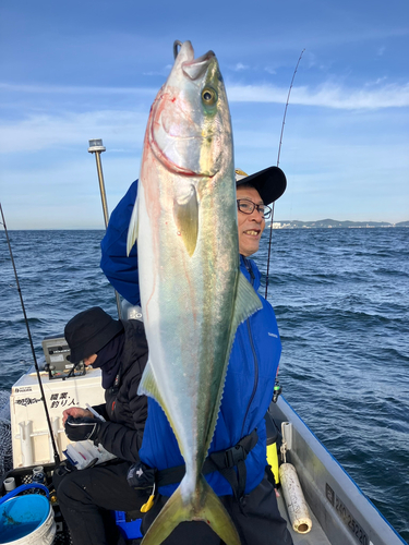 ブリの釣果