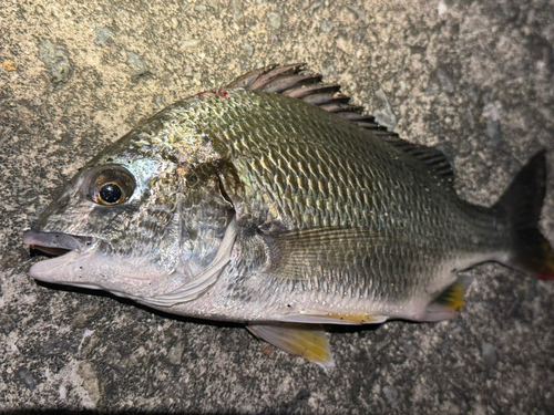 南芦屋浜ベランダ