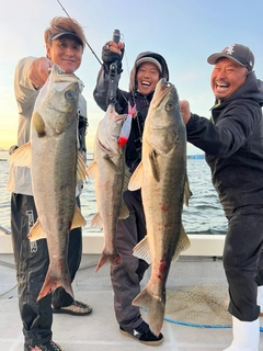 シーバスの釣果