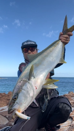 ヒラマサの釣果