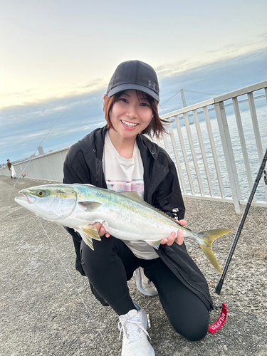 メジロの釣果