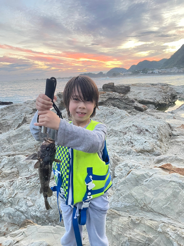 ムラソイの釣果